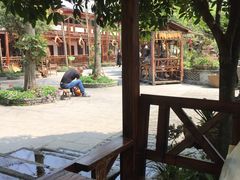 -青城甲(青城山店)