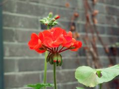 -大妙火锅·非物质文化遗产(东湖公园店)