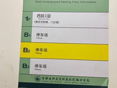 -首都医科大学附属北京潞河医院