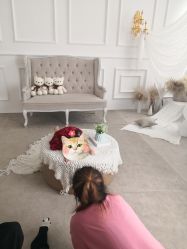 -花开映像儿童摄影