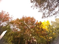 -香山公园