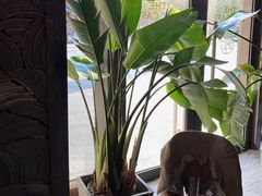 -The Rug Cafe(王府中环店)
