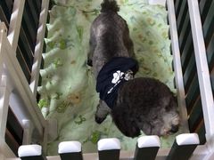 -安安宠医·安宠宠物医院