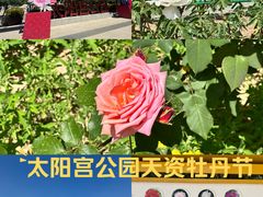 -太阳宫公园