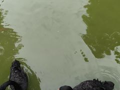 -海合安武汉极地海洋公园