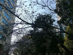 -玛格萝妮比萨屋(四平店)