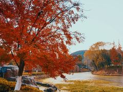 -白马涧龙池景区