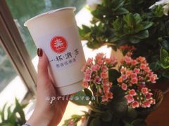 -一杯潮茶·专注潮汕茶饮(朝阳庄店)