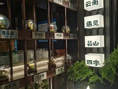 -芸山季·云南山珍菌火锅(人民广场来福士店)