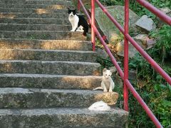 -仙岳公园