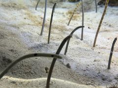 -鹿儿岛水族馆