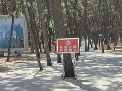 -林海公园