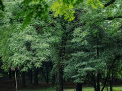-杭州植物园