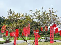-广西壮族自治区药用植物园