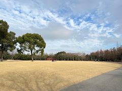 -上海滨江森林公园