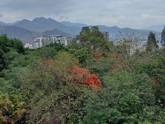 -攀枝花公园