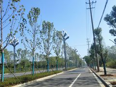 -南洋大师傅(万家丽店)