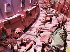 -陕西自然博物馆