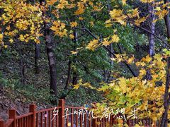 -玉渡山自然风景区