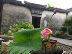-美味之家·湖景农家乐(太湖东山店)