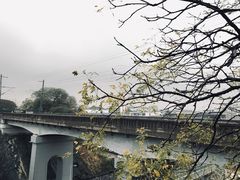 -武汉长江大桥