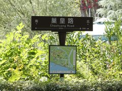 -合肥滨湖国家森林公园