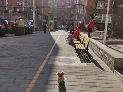 -北京圆山大酒店·餐厅