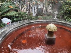-杭州第一世界大酒店·云曼温泉