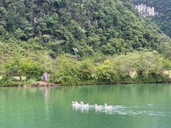 -靖西鹅泉风景区