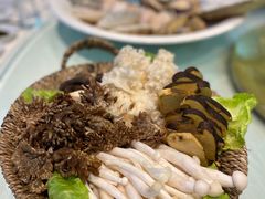 -洪湖家庭农场·团建·露营·会议