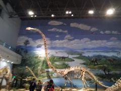 -自贡恐龙博物馆