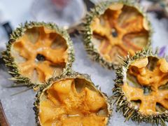 海胆刺身-花潮料理艺食馆(成都万象城店)