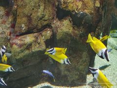 -欢乐海岸海洋奇梦馆