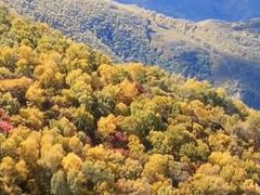 -灵山