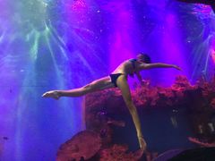 -瑞德姆美人鱼海底演艺主题餐厅(亚龙湾店)