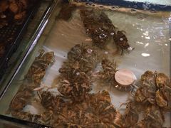 -牛品福潮汕牛肉火锅(旺庄店)