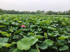 -云龙湖旅游景区