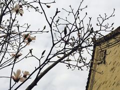 -西安关中民俗艺术博物院