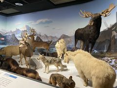 -陕西自然博物馆