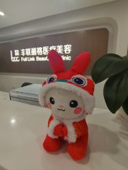 -丰联丽格医疗美容·联合丽格眼整形中心