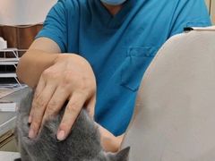 -宠颐生宠物医院·异宠猫科内科·诊疗中心宠巢店