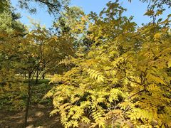 -森林公园(尖草坪区)