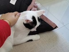 -必胜客(大悦城店)