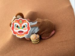 点击看大图 -玛瑞莎孕婴童摄影到家拍
