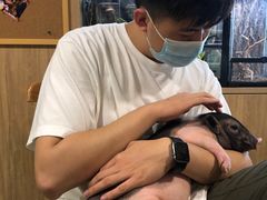 -藦茜花园宠物主题亲子互动体验馆(国顺东路店)