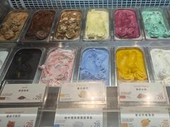 -iceason爱茜茜里·意大利健康冰淇淋(骑龙巷店)