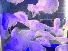 -横店影视城梦幻谷园区