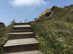 -白草畔自然风景区