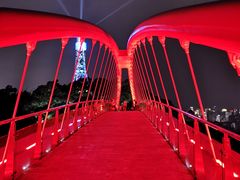 -金鸡山公园