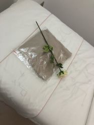 -OAE日式皮肤管理お肌の